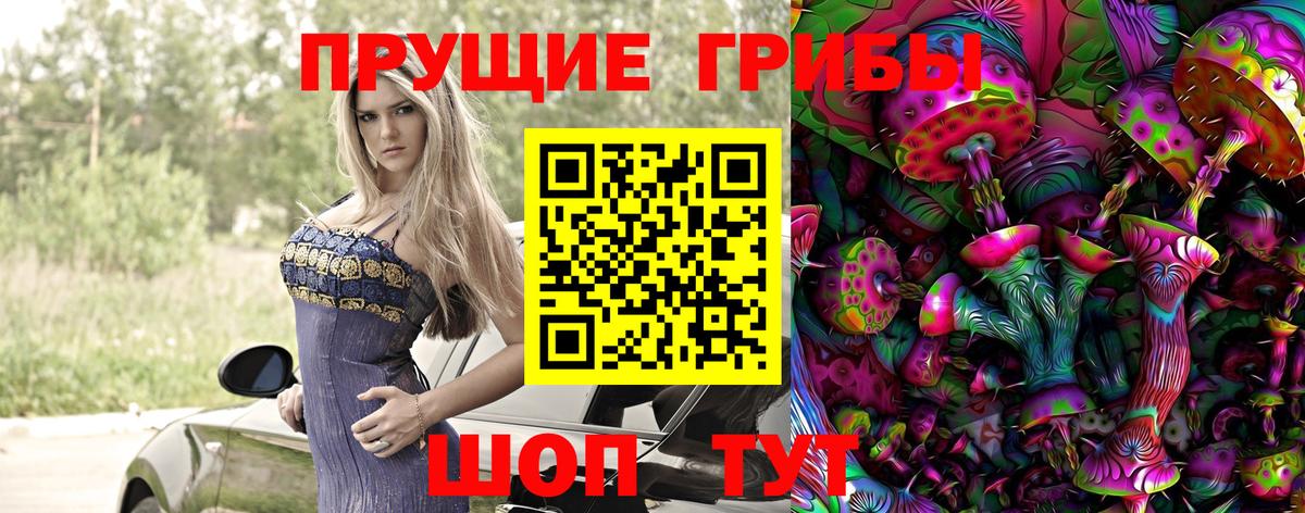 Псилоцибиновые грибы мицелий Пушкино