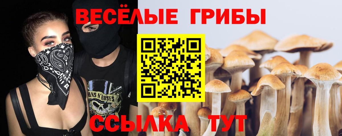 Пушкино  Псилоцибиновые грибы ЛСД  Галлюциногенные грибы GOLDEN TEACHER  Вход с VPN 